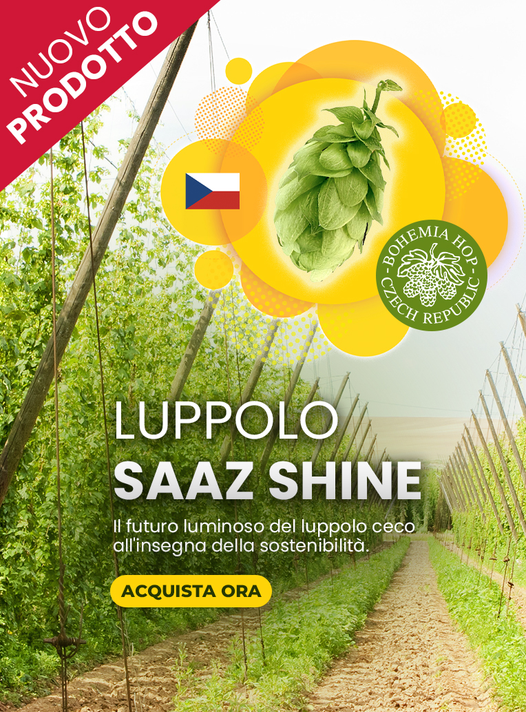 Saaz Shine